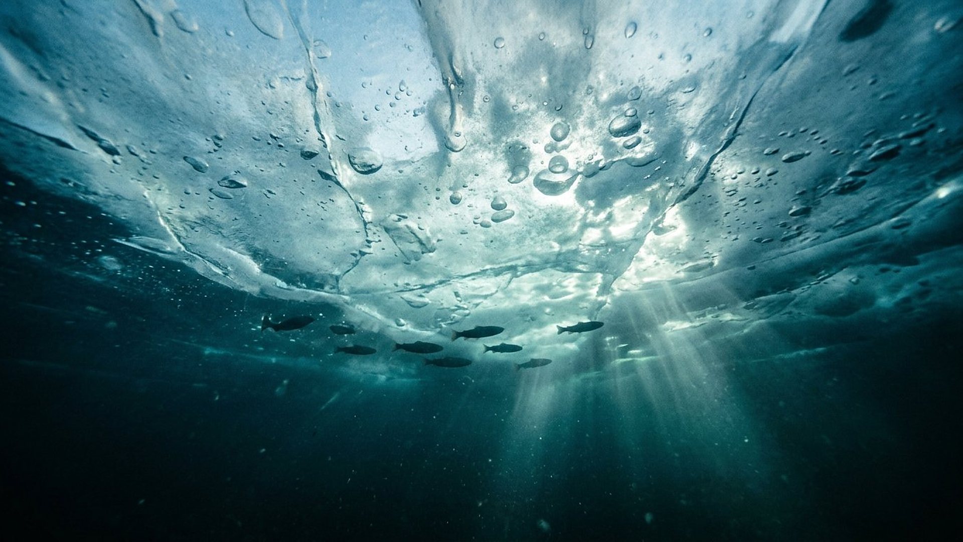 Lac gelé : glace en surface, eau liquide en profondeur.